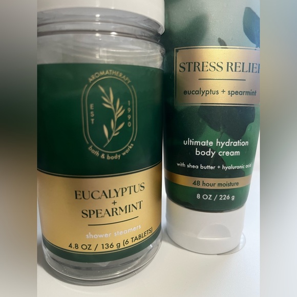 Bath & Body Works Other - Bath & Body Works Eucalyptus Spearmint Set - Body Cream & Shower Steamers